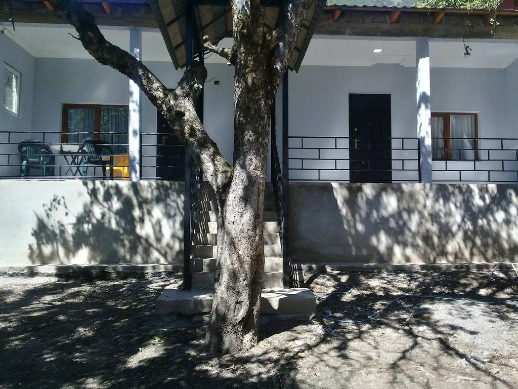 Guesthouse Ori Beli In Mestia Dış mekan fotoğraf